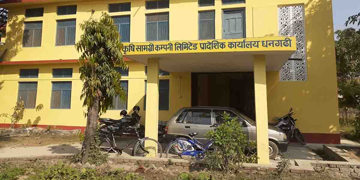 सुदूरपश्चिमका किसानलाई सधै मल अभाव