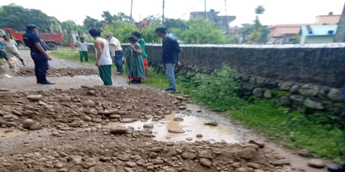 कैलालीको गोदावरी १ का वडा सदस्य कुटिए