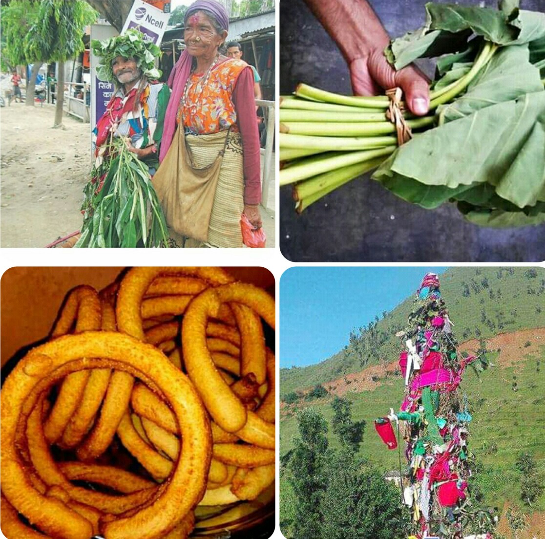 सुदूरपश्चिममा आज ओल्के र बुढी हाल्ने पर्व मनाईदै