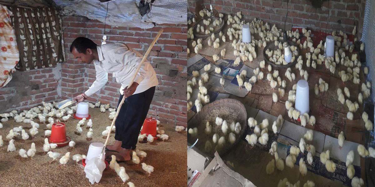 कोरोनाले बिद्यालयनै बन्द भएपछि व्यवसायमा जम्दै शिक्षक