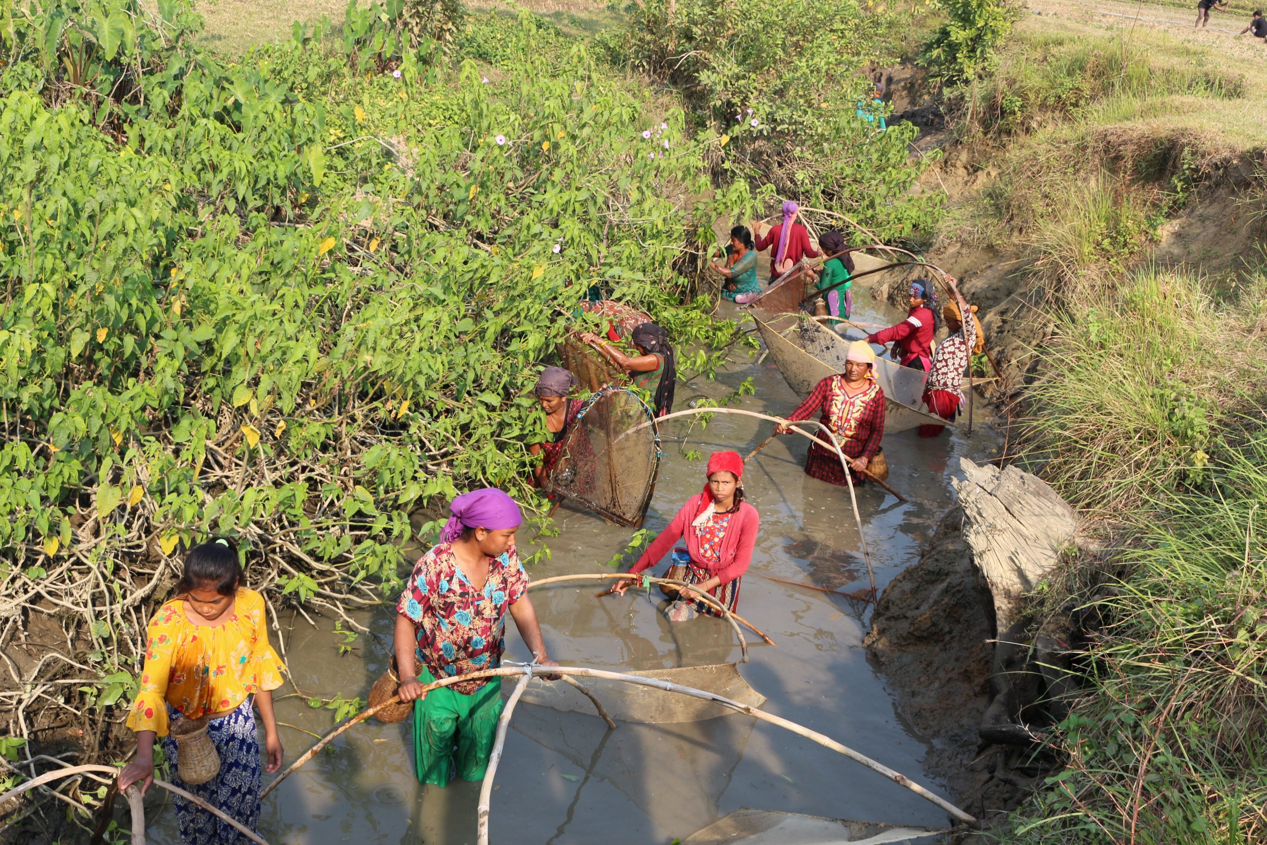 माछा मार्दै महिला (फोटो फिचर)