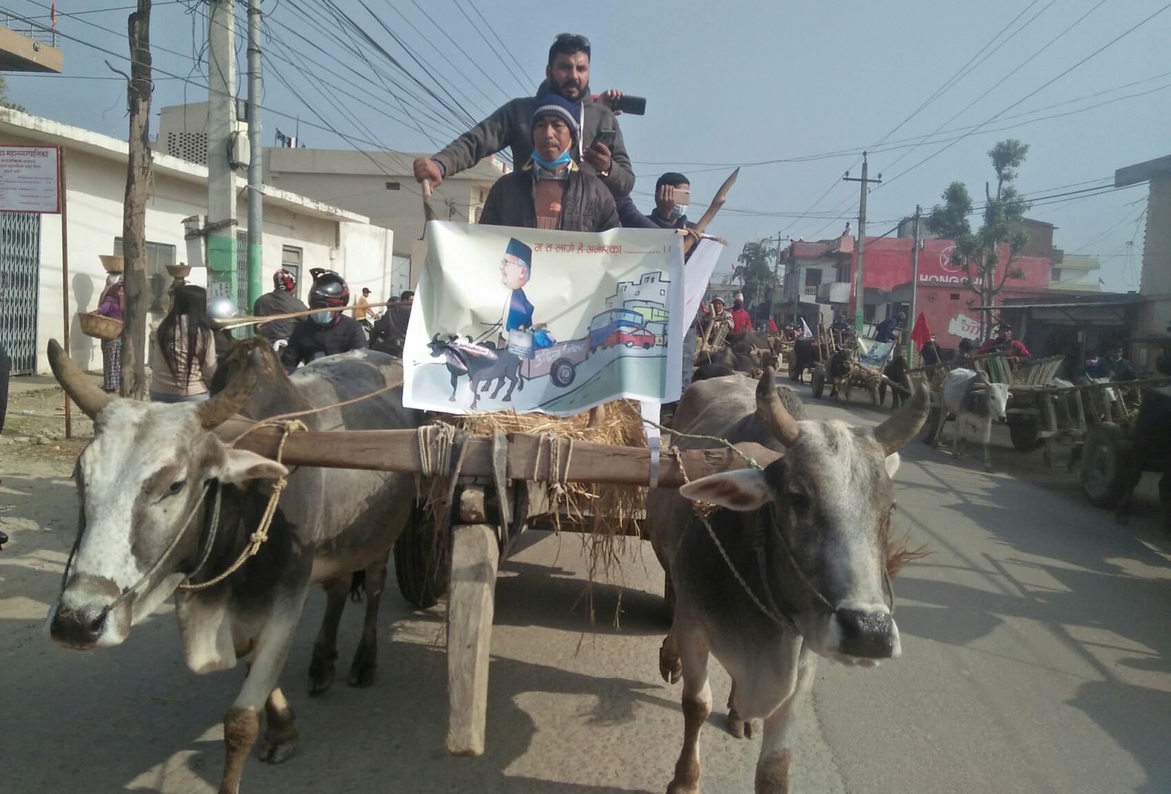 प्रधानमन्त्री केपी शर्मा ओलीको बिरोधमा सडकमा बयलगाडा प्रदर्शन