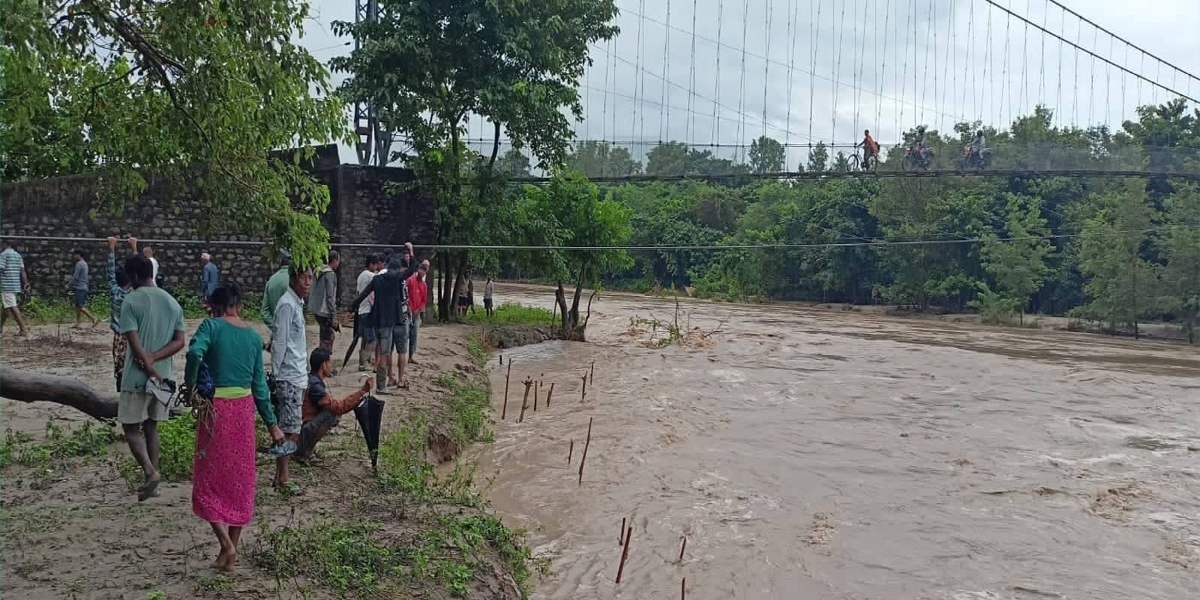 कैलाली र कञ्चनपुर जिल्ला जोड्ने झोलुङ्गे पुल जोखिममा