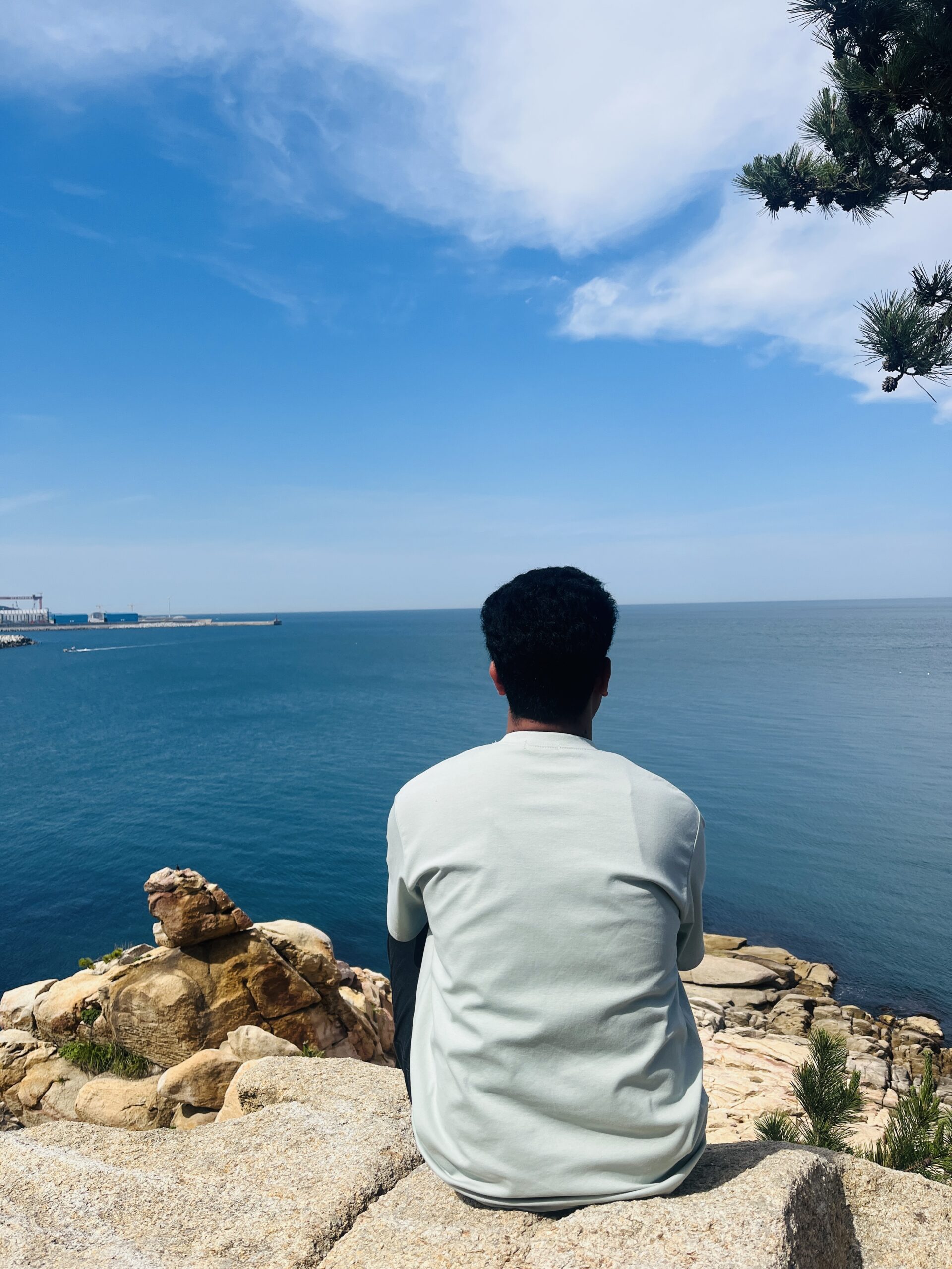 मतपत्र र ऐना